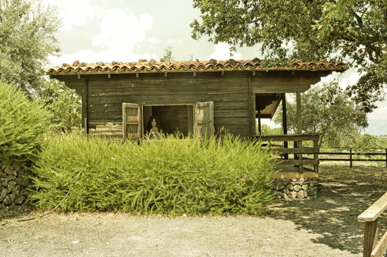 Agriturismo Kikajon Linguaglossa Exterior foto