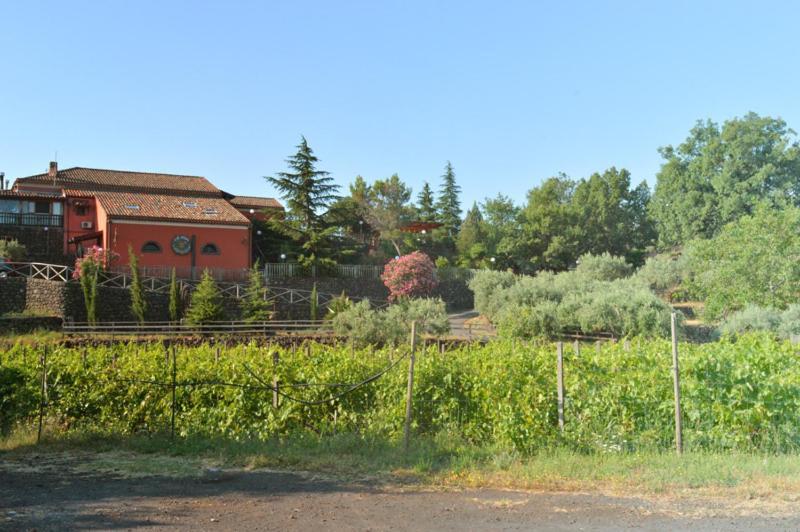 Agriturismo Kikajon Linguaglossa Exterior foto